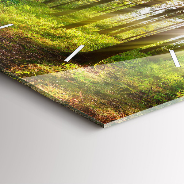 Wanduhr quadratisch mit motiv Sonnenaufgang im Wald