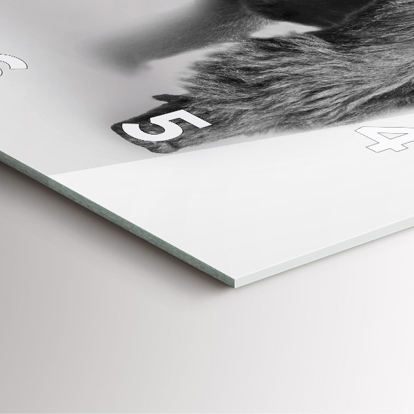 Wanduhr quadratisch mit motiv Tierische Kunstsammlung