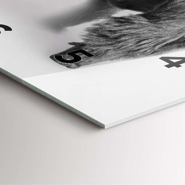 Wanduhr quadratisch mit motiv Tierische Kunstsammlung