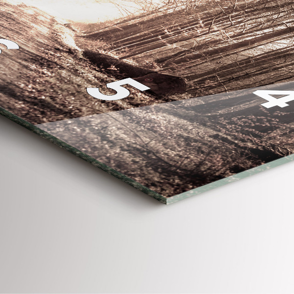 Wanduhr quadratisch Waldweg in Sepia