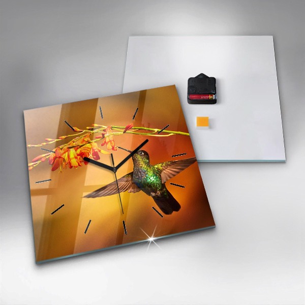 Wanduhr quadratisch Kolibri Vogel