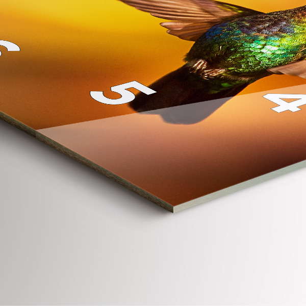 Wanduhr quadratisch Kolibri Vogel