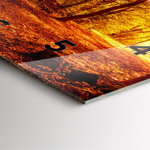 Wanduhr quadratisch Waldlandschaft in der Sonne