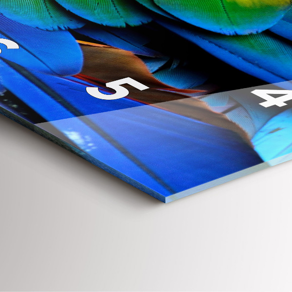 Wanduhr quadratisch Ara-Vogel Bunte Flügel