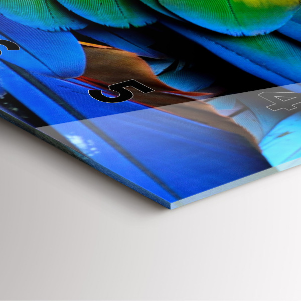 Wanduhr quadratisch Ara-Vogel Bunte Flügel