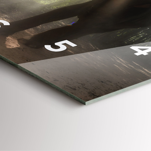 Wanduhr quadratisch Elefant im Dschungel