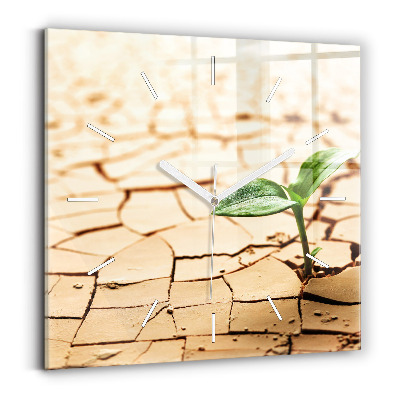 Wanduhr modern quadratisch Pflanze in getrockneter Erde