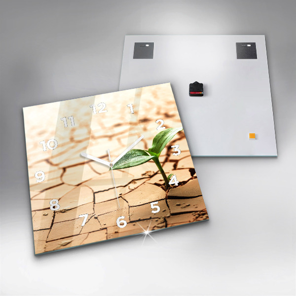 Wanduhr modern quadratisch Pflanze in getrockneter Erde
