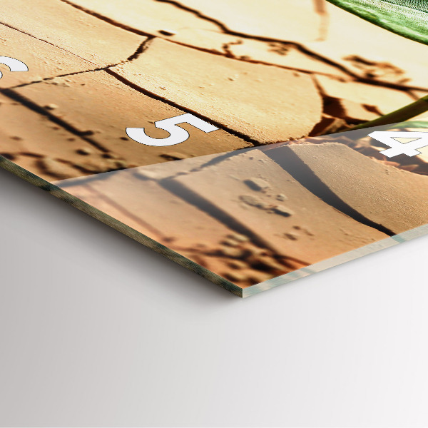 Wanduhr modern quadratisch Pflanze in getrockneter Erde