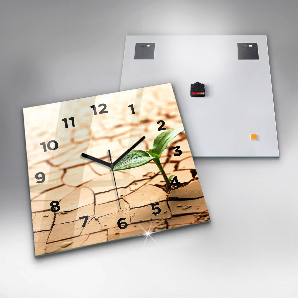 Wanduhr modern quadratisch Pflanze in getrockneter Erde