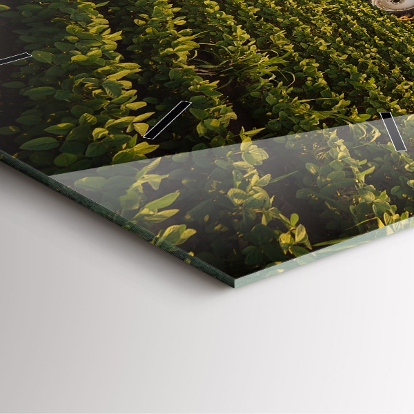 Wanduhr quadratisch mit motiv Traktor sprüht ein Feld