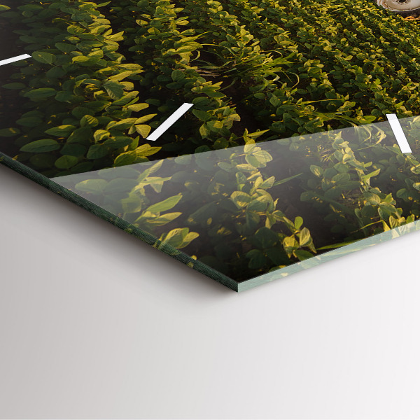 Wanduhr quadratisch mit motiv Traktor sprüht ein Feld