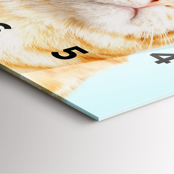 Wanduhr quadratisch Lustige Katze mit Brille