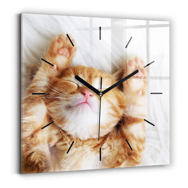 Wanduhr modern quadratisch Kleine Katze schlafend