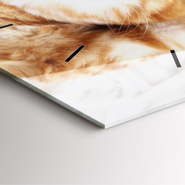 Wanduhr modern quadratisch Kleine Katze schlafend