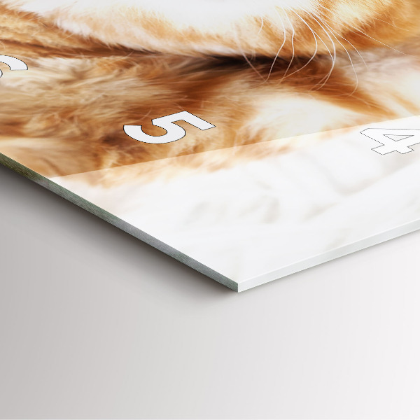 Wanduhr modern quadratisch Kleine Katze schlafend