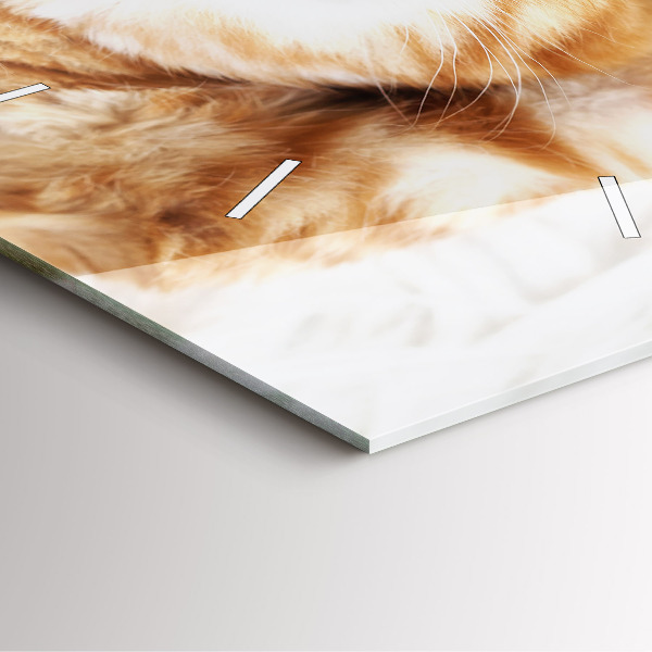 Wanduhr modern quadratisch Kleine Katze schlafend