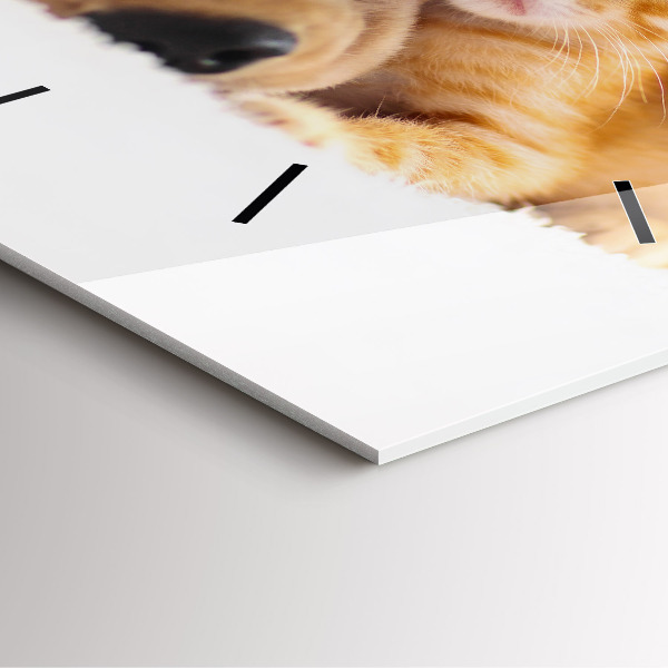 Wanduhr quadratisch Schlafende Katze und Hund