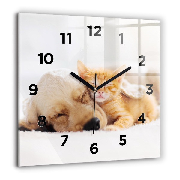 Wanduhr quadratisch Schlafende Katze und Hund