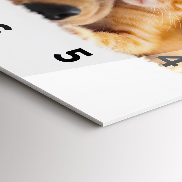 Wanduhr quadratisch Schlafende Katze und Hund