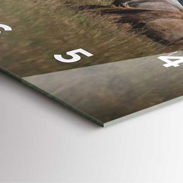 Wanduhr modern quadratisch Pferde im Galopp