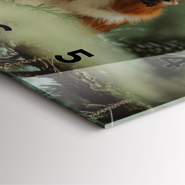 Wanduhr quadratisch Eichhörnchen und Wildtiere