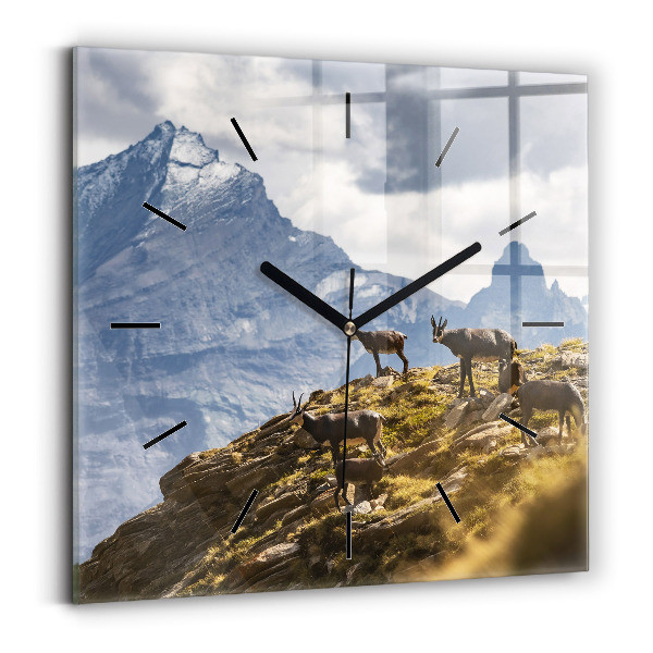 Wanduhr quadratisch mit motiv Ziege im Aosta-Tal
