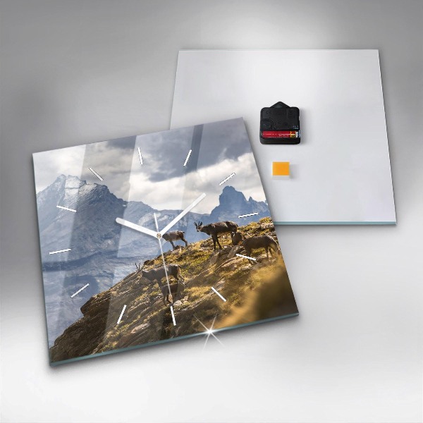 Wanduhr quadratisch mit motiv Ziege im Aosta-Tal