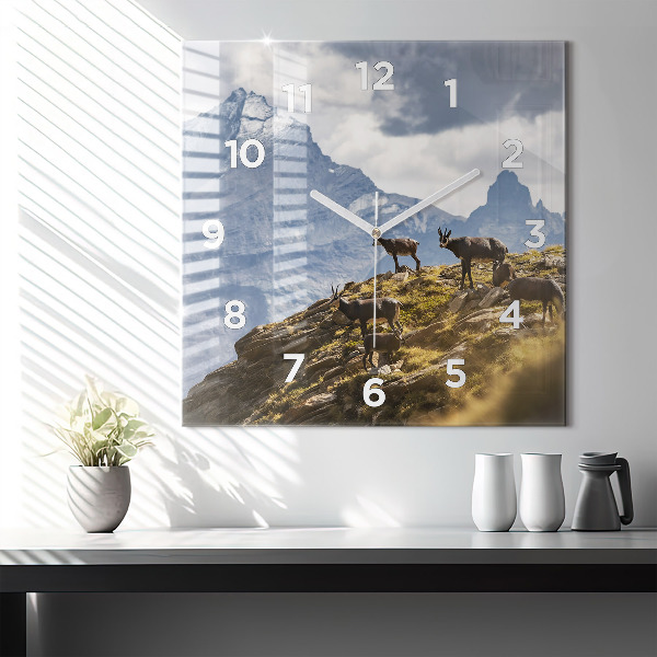 Wanduhr quadratisch mit motiv Ziege im Aosta-Tal