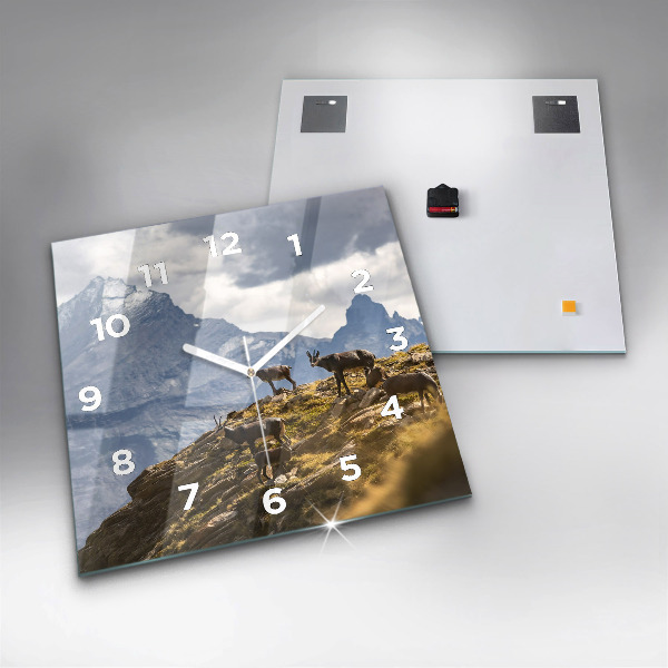 Wanduhr quadratisch mit motiv Ziege im Aosta-Tal