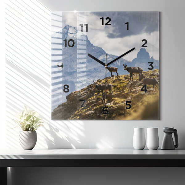 Wanduhr quadratisch mit motiv Ziege im Aosta-Tal
