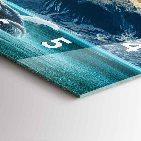 Wanduhr modern quadratisch Walfisch Wasser