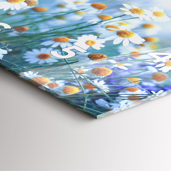 Wanduhr quadratisch Schmetterling auf einer Wiese