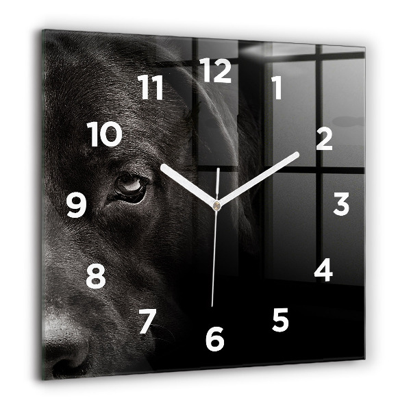 Wanduhr modern quadratisch Hund und schottische Katze