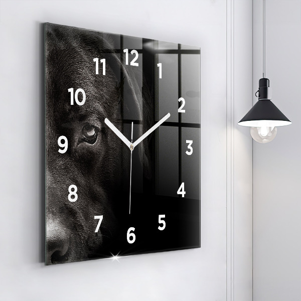 Wanduhr modern quadratisch Hund und schottische Katze