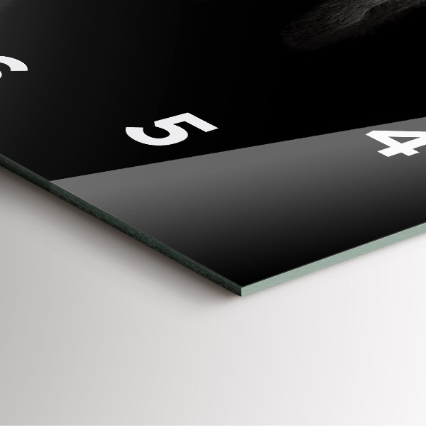 Wanduhr modern quadratisch Hund und schottische Katze