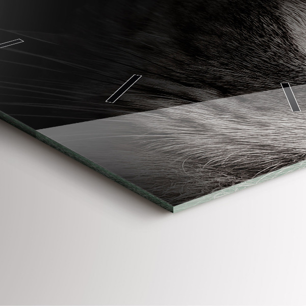 Wanduhr quadratisch mit motiv Schottischer Hund und Katze