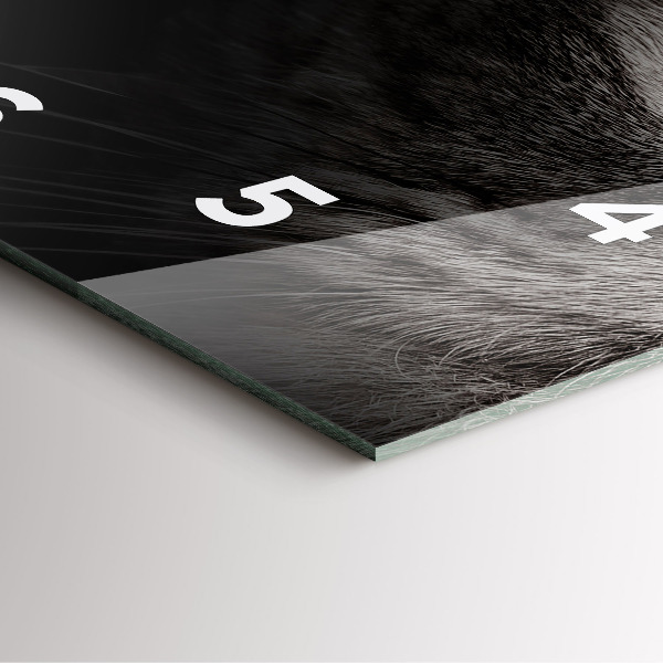 Wanduhr quadratisch mit motiv Schottischer Hund und Katze