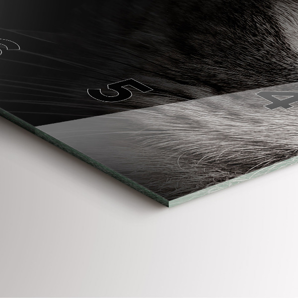 Wanduhr quadratisch mit motiv Schottischer Hund und Katze