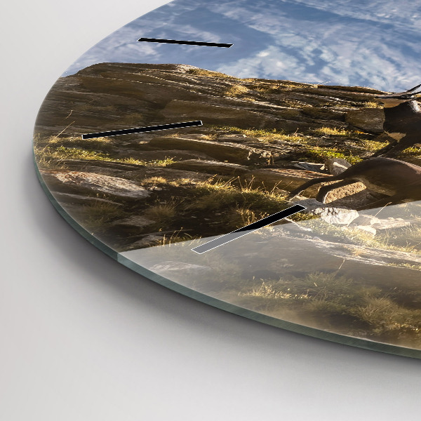 Wanduhr rund Ziege im Aosta-Tal