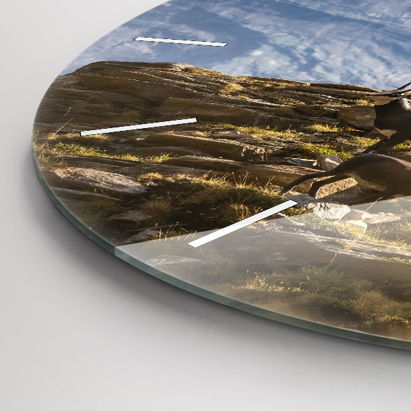 Wanduhr rund Ziege im Aosta-Tal