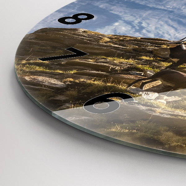 Wanduhr rund Ziege im Aosta-Tal