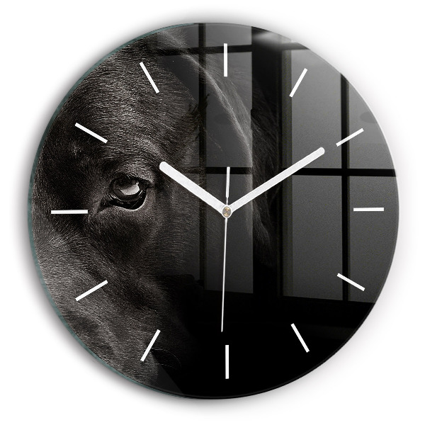 Wanduhr rund mit motiv Hund und schottische Katze