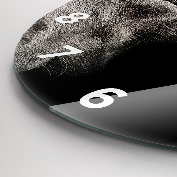 Wanduhr rund mit motiv Hund und schottische Katze