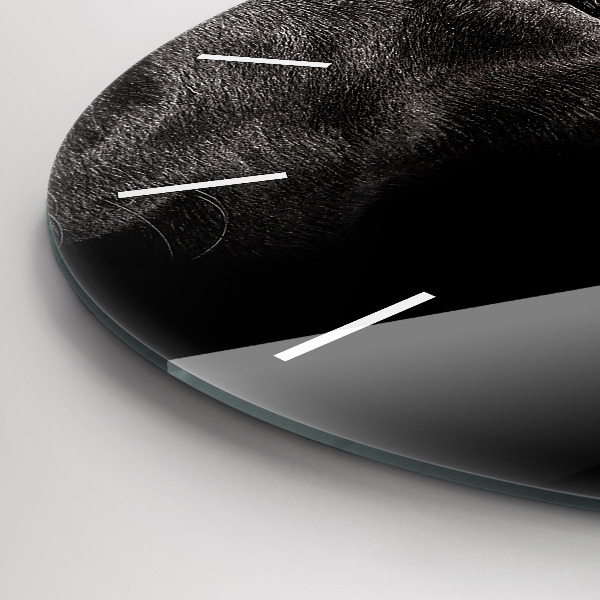 Wanduhr rund mit motiv Hund und schottische Katze